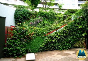 انواع دیوار سبز در محوطه سازی ویلا و روف گاردن