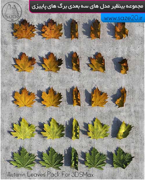 دانلود مجموعه مدل های سه بعدی برگ های پاییزی