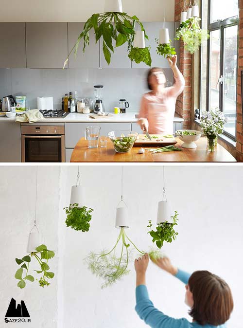 ایده هایی برای نگهداری گل و گیاه در منزل,ایده هایی برای نگهداری گل و گیاه, نگهداری گل و گیاه در منزل,