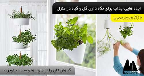 ایده هایی برای نگهداری گل و گیاه در منزل