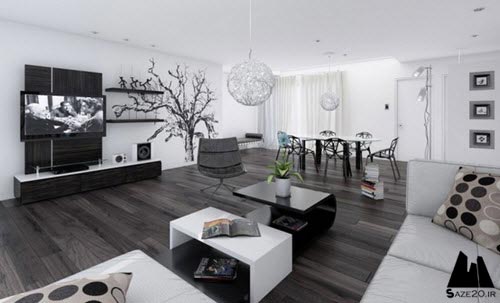 رنگ سیاه و سفید در طراحی داخلی خانه,رنگ سیاه و سفید در طراحی داخلی,طراحی داخلی,