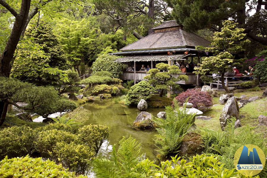 باغ های خزه پوش در باغ ژاپنی