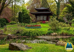 اصول طراحی باغ ژاپنی و محوطه سازی آن